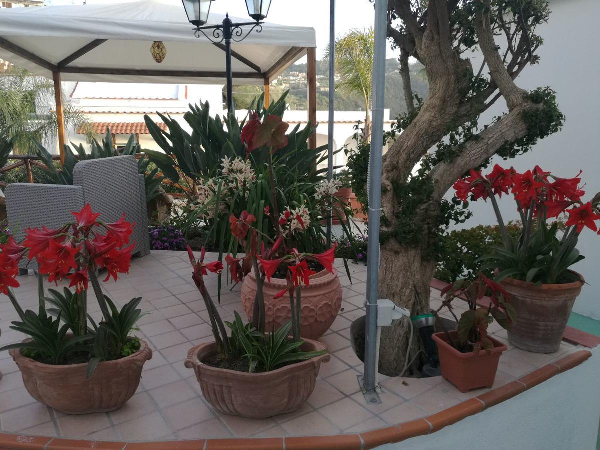 Villa Loreta Forio  Ngoại thất bức ảnh